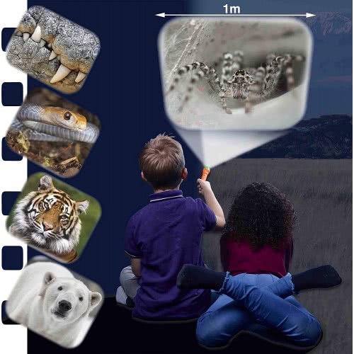 brainstorm Most Deadly Torch And Projector E2038 5060122732352