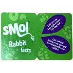 LIVING NATURE Smols Rabbit Modelled On Natures Living Animal AN516 5037832315816
