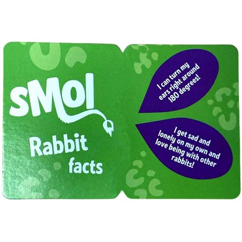 LIVING NATURE Smols Rabbit Modelled On Natures Living Animal AN516 5037832315816