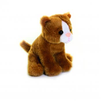 LIVING NATURE Smols Kitten Soft Toy | Modelled On Natures Original Living Animal, Durable Material, Ideal For Nature, Science, A