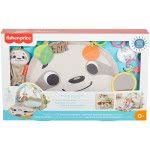 Mattel Ready To Hang Sensory Sloth Gym Γυμναστήριο Βραδύπους GNB52 887961866353
