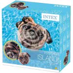 INTEX Φουσκωτό Pug Face Island Σκυλάκι 58785 6941057413433