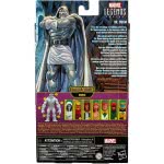 Hasbro Marvel Legends Series 6-Inch Collectible Action Dr. Doom Figure And 4 Accessories F2794 / F2796 5010993834716