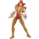 Hasbro Marvel Legends Series 6-Inch Collectible Action Lady Deathstrike Figure, Includes 1 Build-A-Figure Part F2794 / F2799 501