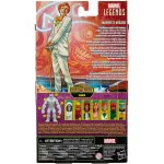 Hasbro Marvel Legends Series 6-Inch Collectible Marvels Arcade Και 2 Αξεσουάρ F2794 / F2800 5010993834686