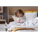 Mattel Baby Bear And Firefly Soother GRR00 887961910254