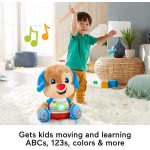 Mattel Laugh And Learn Μεγάλο Εκπαιδευτικό Σκυλάκι Smart Stages HCJ16 194735010936