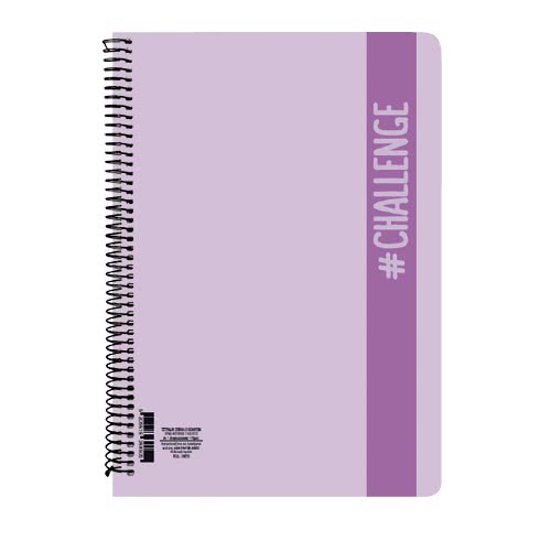 A&G PAPER Τετράδιο Σπιράλ Α4 4 Θεμάτων 120 Φύλλων Challenge Pastel 36852 5205616368529