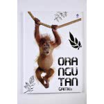 A&G PAPER Τετράδιο Σπιράλ Α4 3 Θεμάτων 90 Φύλλων Cutie 21 36366 5205616363661