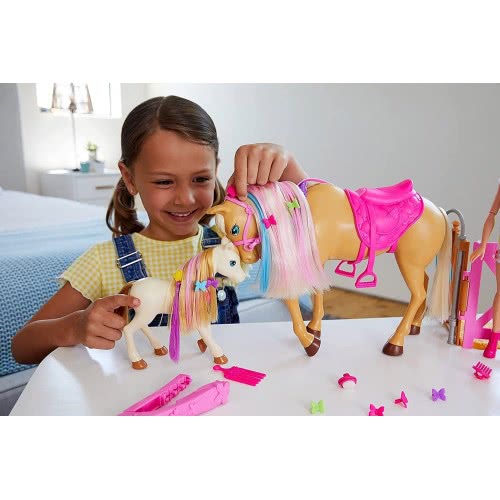 Mattel Barbie Σετ Με Άλογο Πόνυ Και Αξεσουάρ GXV77 887961963298