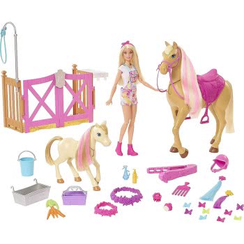 Mattel Barbie Σετ Με Άλογο Πόνυ Και Αξεσουάρ GXV77 887961963298