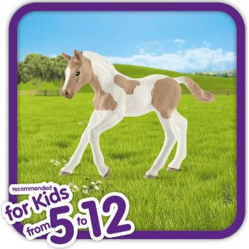 Schleich Club Paint Horse Foal 13886 4059433025650