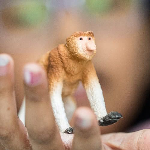 Schleich Wild Life Proboscis Monkey 14846 4059433326436