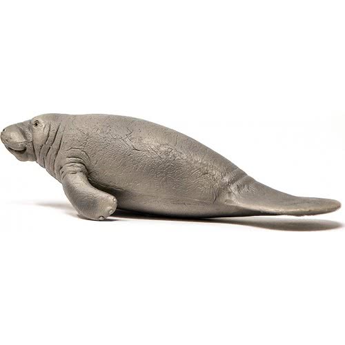 Schleich Wild Life Manatee 14839 4059433326108