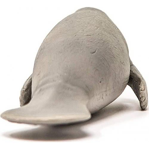 Schleich Wild Life Manatee Φώκια 14839 4059433326108