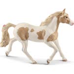 Schleich Club Bain Horse Mare Φοράδα Paint Horse 13884 4059433025636