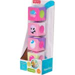 Mattel Κύβοι Δραστηριοτήτων CBL33 / ASST 887961009378