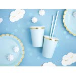 OEM Paper Straws, light blue, 19.5cm SPP1-001J 5902230750449