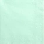 OEM Napkins, 3 Layers, Mint, 33X33cm SP33-1-103 5902230745834
