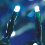 Epam 100 Χριστουγεννιάτικα Λαμπάκια LED Ψυχρό Λευκό 8μ σε Σειρά με Πράσινο Καλώδιο XLALED100W-GWW/31V 5203266042448