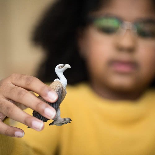 Schleich Άγρια Ζωή Όρνεο SCH14847 4059433267432