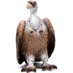 Schleich Άγρια Ζωή Όρνεο SCH14847 4059433267432