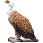 Schleich Wild Life Vulture SCH14847 4059433267432