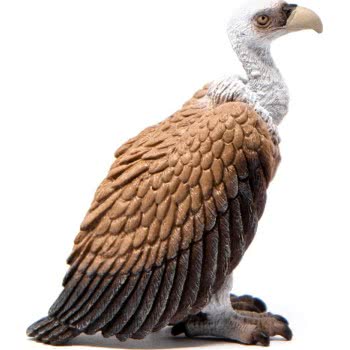 Schleich Wild Life Vulture SCH14847 4059433267432