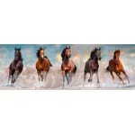 Clementoni Παζλ Panorama Quality Collection Αλογα 1000 Τμχ 1220-39607 8005125396078
