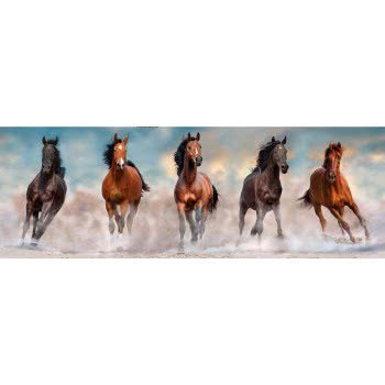 Clementoni Παζλ Panorama Quality Collection Αλογα 1000 Τμχ 1220-39607 8005125396078