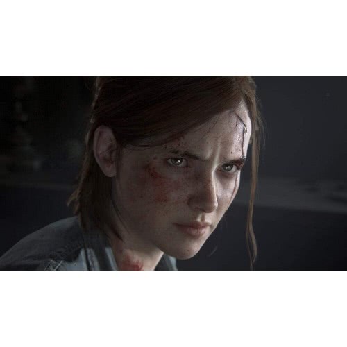 SONY PS4 The Last Of Us Part 2 Standard  711719381907