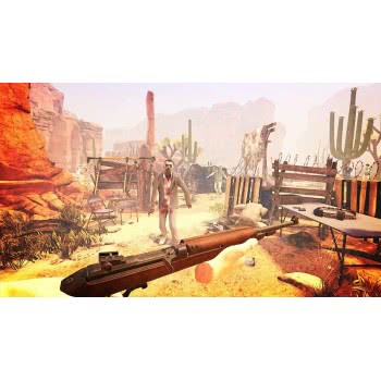 SONY PS4 Arizona Sunshine  711719976363