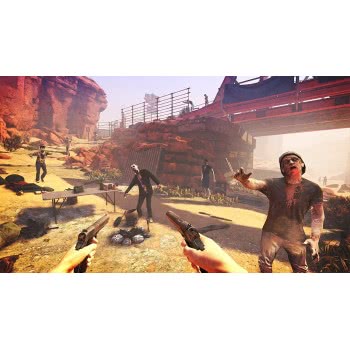 SONY PS4 Arizona Sunshine  711719976363