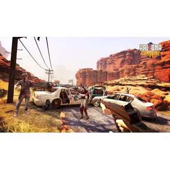 SONY PS4 Arizona Sunshine  711719976363