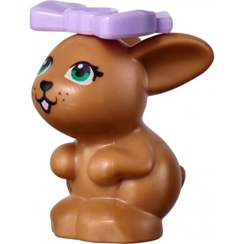 LEGO Friends Pet Clinic Κλινική Κατοικίδιων Ζώων 41695 5702017115160