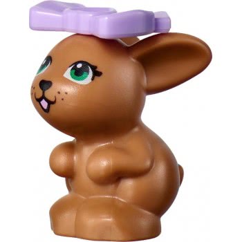 LEGO Friends Pet Clinic Κλινική Κατοικίδιων Ζώων 41695 5702017115160