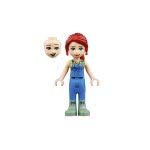 LEGO Friends Δεντρόσπιτο Φιλίας 41703 5702017152745