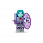LEGO Minifigures Σειρά 22 71032 5702017154756