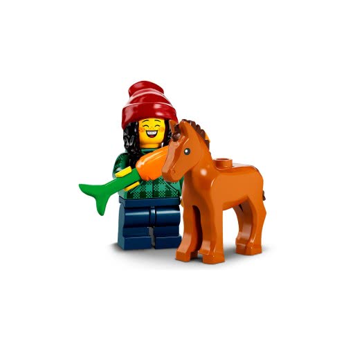 LEGO Minifigures Σειρά 22 71032 5702017154756