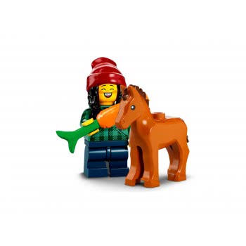 LEGO Minifigures Σειρά 22 71032 5702017154756
