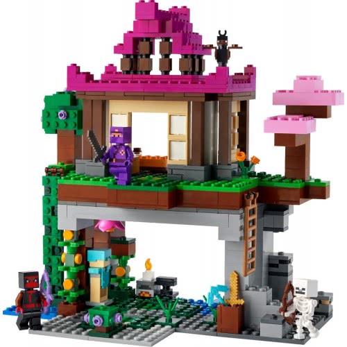 LEGO Minecraft The Training Grounds 21183 5702017156613