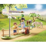 Playmobil Country Adventure Pony Ride 70512 4008789705129