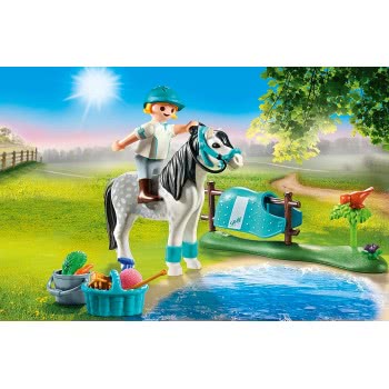 Playmobil Country Collectible Classic Pony 70522 4008789705228