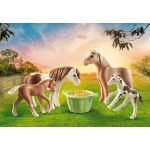 Playmobil Country Icelandic Ponies With Foals 71000 4008789710000