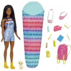 Mattel Barbie It Takes Two Brooklyn Camping Doll With Puppy & 10+ Accessories HDF74 194735022403