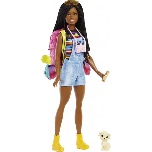 Mattel Barbie It Takes Two Brooklyn Camping Doll With Puppy & 10+ Accessories HDF74 194735022403