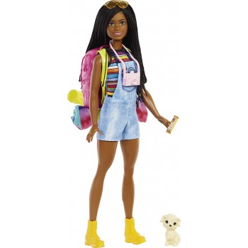 Mattel Barbie It Takes Two Brooklyn Camping Doll With Puppy & 10+ Accessories HDF74 194735022403