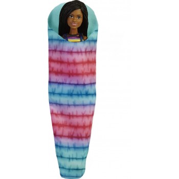 Mattel Barbie It Takes Two Brooklyn Camping Με Κουτάβι Και 10+ Αξεσουάρ HDF74 194735022403
