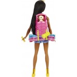 Mattel Barbie It Takes Two Brooklyn Camping Doll With Puppy & 10+ Accessories HDF74 194735022403