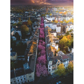 Ravensburger Παζλ 1500 τεμ. Ανθισμένη Βόννη 17104 4005556171040